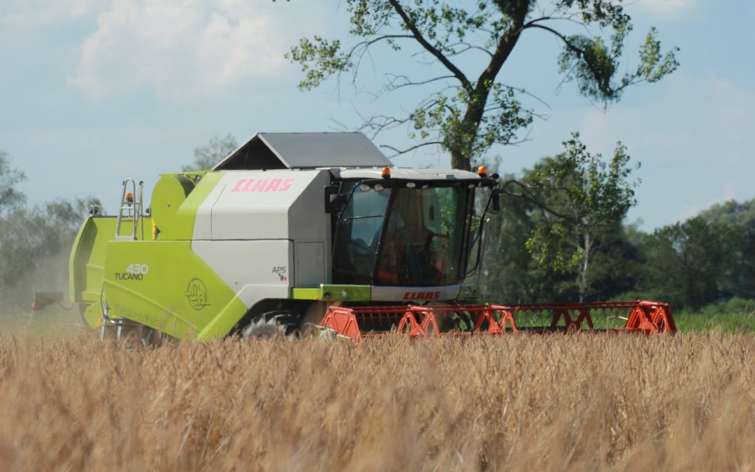 Mähdrusch mit Claas Tucano 430 APS