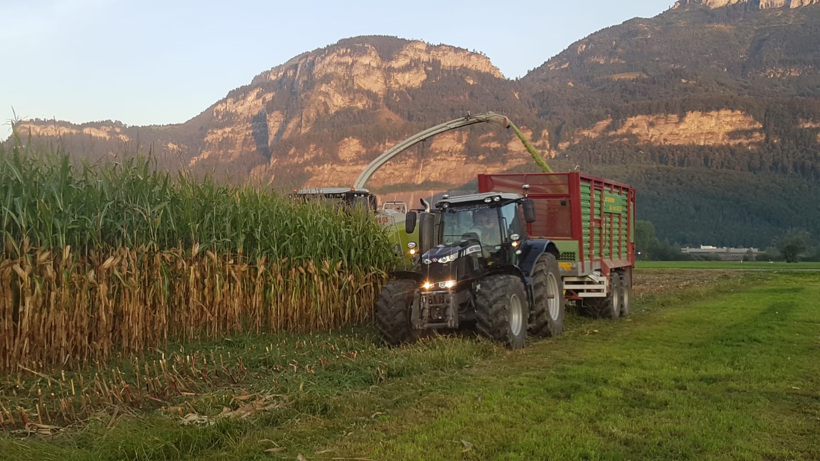 Maisernte 2018 und Folgearbeiten | MB Trans Agrar